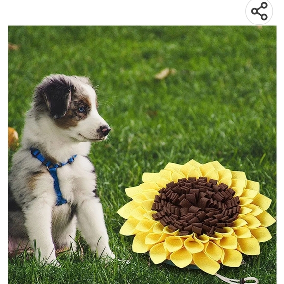 Sniffing Pet Mat - Picture 3 of 5